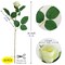 Grand Verde Silk Roses Artificial Flowers 16” Long Stems Fake Floral Arrangement Wedding Decoration Bridal Bouquet DIY Crafting Home Decor, Bulk 10pcs